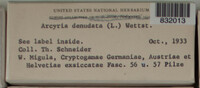 Image Associated With the Occurence